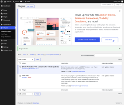 Page screenshot: Plugins &lsaquo; Test site &mdash; WordPress