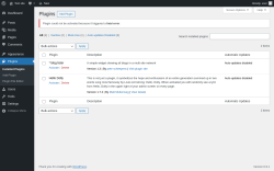 Page screenshot: Plugins &lsaquo; Test site &mdash; WordPress