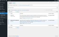 Page screenshot: Plugins ‹ Test site — WordPress
