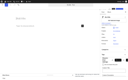 Page screenshot: Add Post &lsaquo; Test site &mdash; WordPress