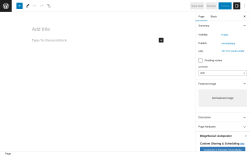 Page screenshot: Add New Page &lsaquo; Test site &mdash; WordPress