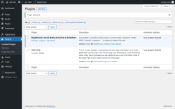 Page screenshot: Plugins &lsaquo; Test site &mdash; WordPress