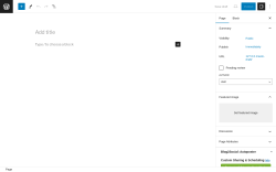 Page screenshot: Add New Page &lsaquo; Test site &mdash; WordPress