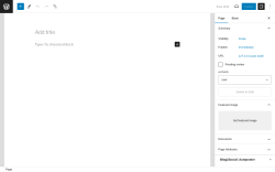 Page screenshot: Add New Page &lsaquo; Test site &mdash; WordPress