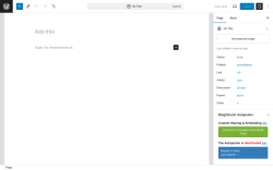 Page screenshot: Add New Page &lsaquo; Test site &mdash; WordPress
