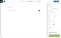 Page screenshot: Add New Post &lsaquo; Test site &mdash; WordPress