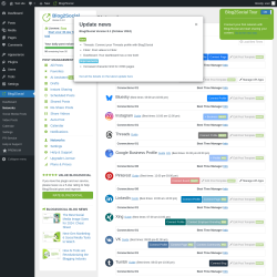 Page screenshot: Blog2Social &rarr; Networks
