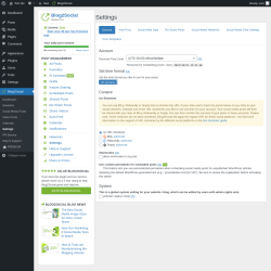 Page screenshot: Blog2Social &rarr; Settings