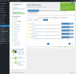 Page screenshot: Blog2Social → Social Media Posts