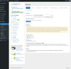 Page screenshot: Blog2Social → Settings