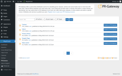 Page screenshot: Blog2Social → PR-Service