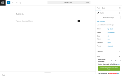 Page screenshot: Add Post ‹ Test site — WordPress