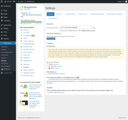Page screenshot: Blog2Social → Settings
