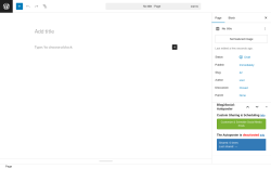 Page screenshot: Add Page ‹ Test site — WordPress