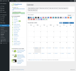 Page screenshot: Blog2Social → Calendar