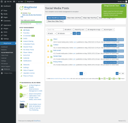 Page screenshot: Blog2Social &rarr; Social Media Posts
