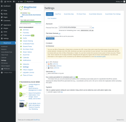 Page screenshot: Blog2Social &rarr; Settings