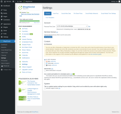 Page screenshot: Blog2Social &rarr; Settings