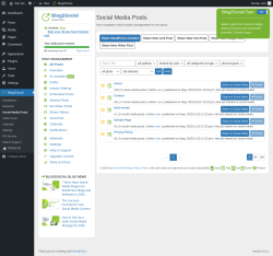 Page screenshot: Blog2Social &rarr; Social Media Posts