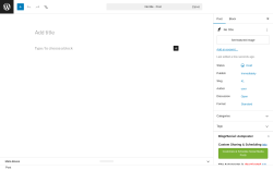Page screenshot: Add Post &lsaquo; Test site &mdash; WordPress