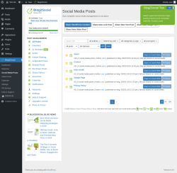 Page screenshot: Blog2Social &rarr; Social Media Posts