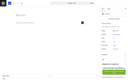 Page screenshot: Add Post &lsaquo; Test site &mdash; WordPress