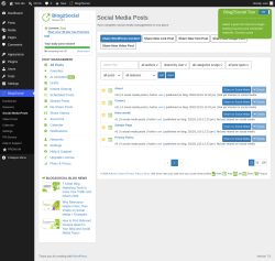 Page screenshot: Blog2Social &rarr; Social Media Posts