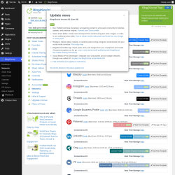 Page screenshot: Blog2Social &rarr; Networks