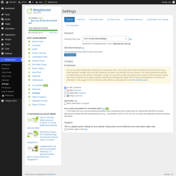 Page screenshot: Blog2Social &rarr; Settings