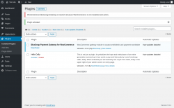 Page screenshot: Plugins &lsaquo; Test site &mdash; WordPress