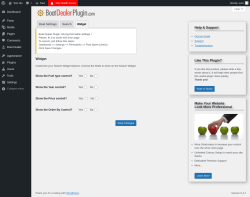 Page screenshot: Boat Dealer → Settings → Widget