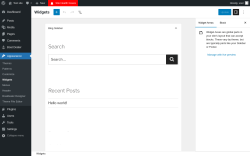 Page screenshot: Widgets ‹ Test site — WordPress