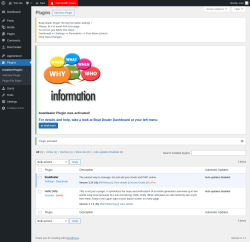 Page screenshot: Plugins ‹ Test site — WordPress