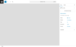 Page screenshot: Add Post ‹ Test site — WordPress