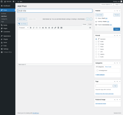 Page screenshot: Add Post ‹ Test site — WordPress