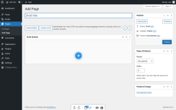 Page screenshot: Add Page &lsaquo; Test site &mdash; WordPress