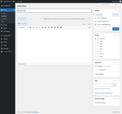 Page screenshot: Add Post &lsaquo; Test site &mdash; WordPress