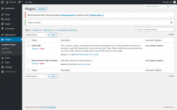 Page screenshot: Plugins ‹ Test site — WordPress