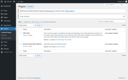 Page screenshot: Plugins ‹ Test site — WordPress