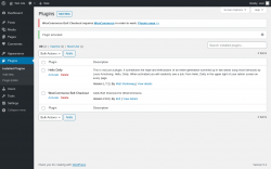 Page screenshot: Plugins ‹ Test site — WordPress