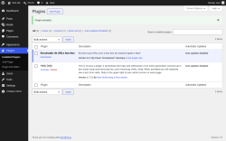 Page screenshot: Plugins &lsaquo; Test site &mdash; WordPress