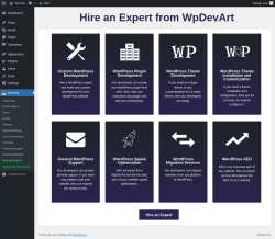 Page screenshot: Booking → Hire an Expert