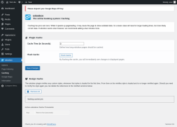 Page screenshot: edoobox → Caching