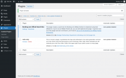 Page screenshot: Plugins &lsaquo; Test site &mdash; WordPress