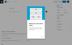 Page screenshot: Add New Page &lsaquo; Test site &mdash; WordPress