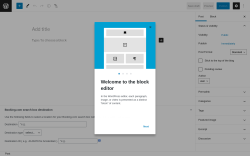 Page screenshot: Add New Post &lsaquo; Test site &mdash; WordPress