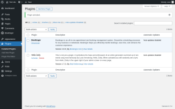 Page screenshot: Plugins ‹ Test site — WordPress