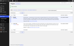 Page screenshot: Plugins &lsaquo; Test site &mdash; WordPress