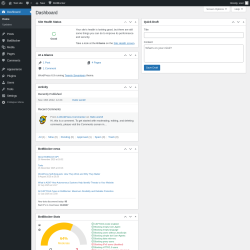 Page screenshot: Dashboard &lsaquo; Test site &mdash; WordPress