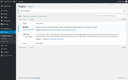 Page screenshot: Plugins &lsaquo; Test site &mdash; WordPress